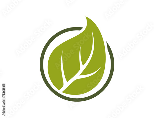 eco friendly icon. leaf in a circle. bio and organic symbol. vector image in flat design