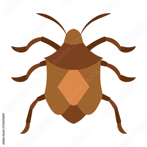 stink bug
