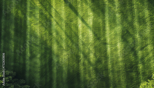 green forest background