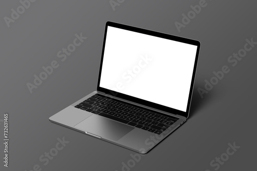 Laptop with blank screen mockup