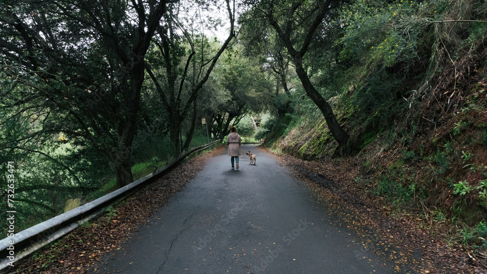 Girl on a walk in the park with a dog Girl on a walk in the park with a dog