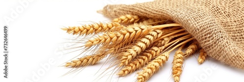 Wheat Ears on Mesh Bag Generative AI