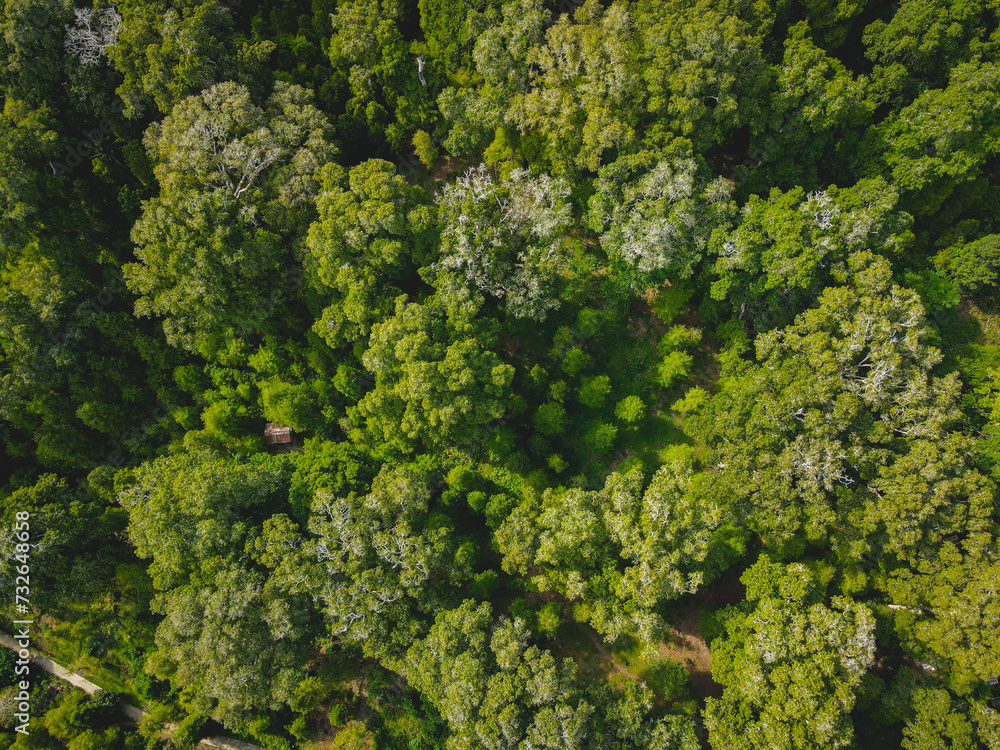 Naklejka premium Aerial View of Lonthoir Village in Banda Islands, Central Maluku, Indonesia