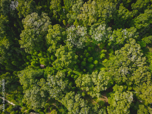 Aerial View of Lonthoir Village in Banda Islands, Central Maluku, Indonesia