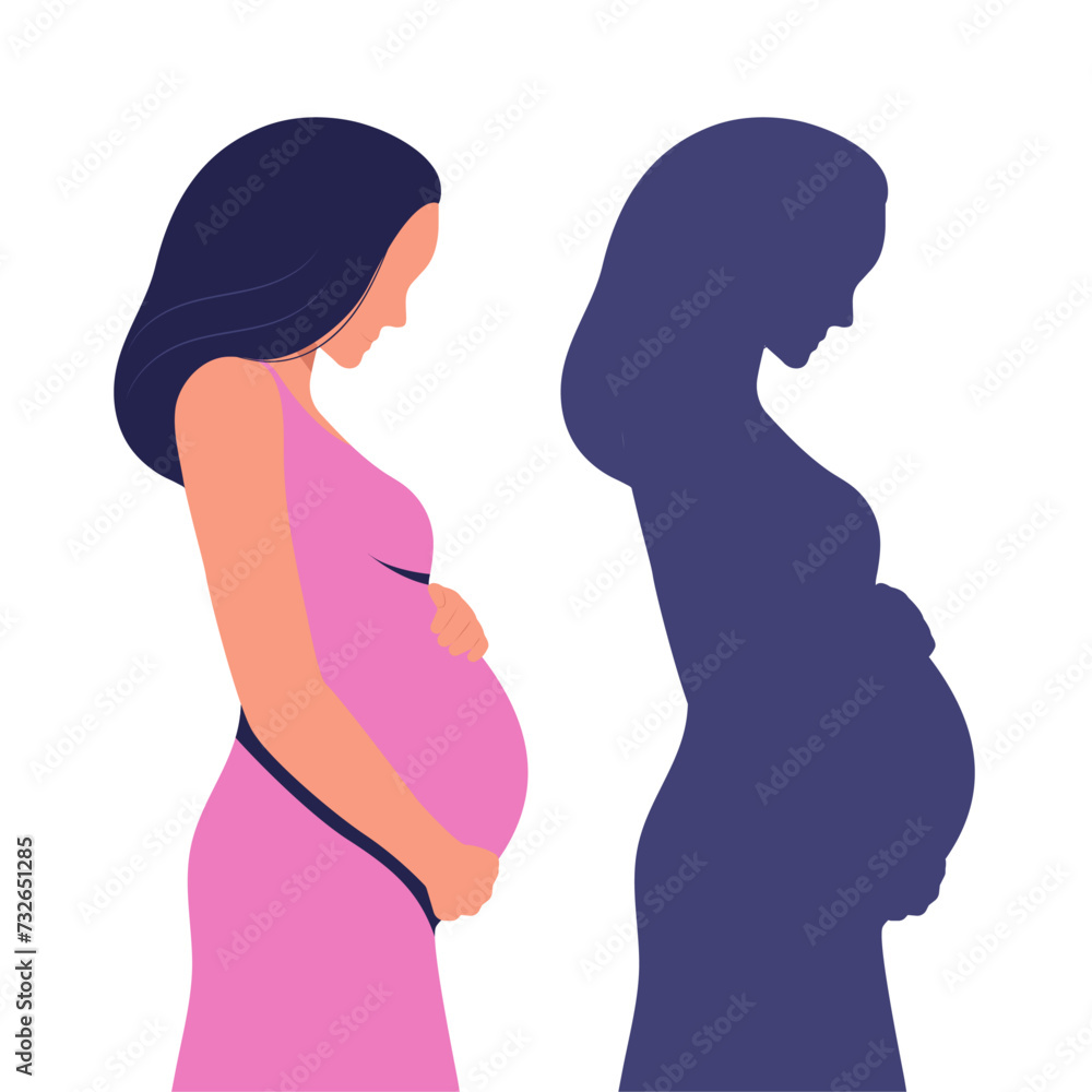 Pregnant woman. Shadow of a pregnant woman. Vector illustration. Flat design.	