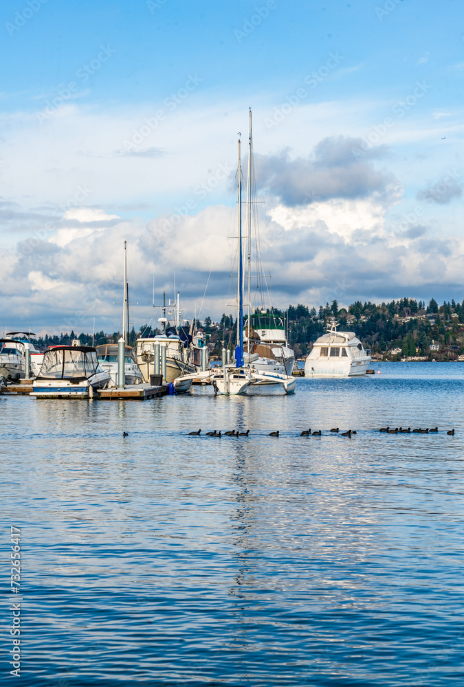 Seattle Lake Marina 3