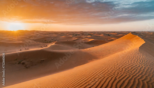 Beautiful sunset over the desert  golden sand dune desert landscape panorama  nature
