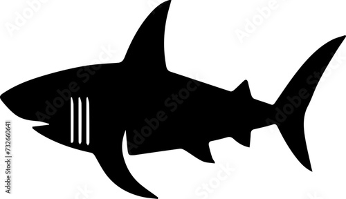 Shark vector