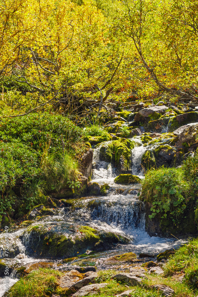 shallow beautiful alpine river with a fast flow and stones on the bank