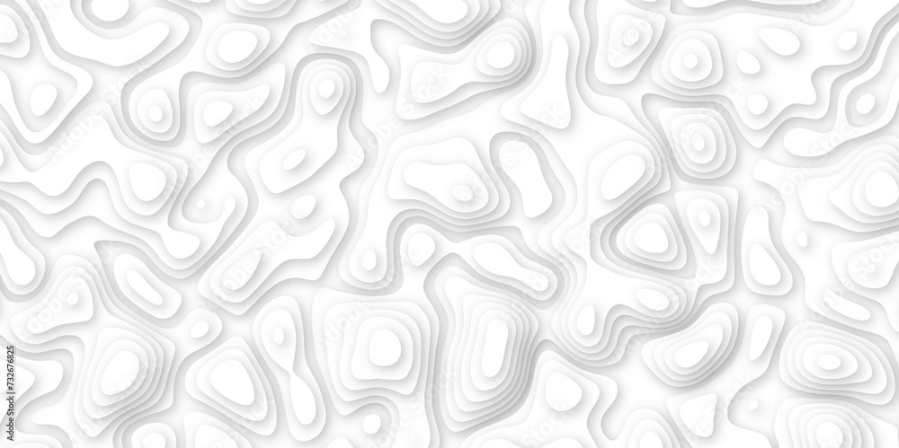 Abstract geometric layered curve line white background. 3d white papercut topography relief. Cover layout template. paper cut topography soft background banner texture. light liquid wave illustration.