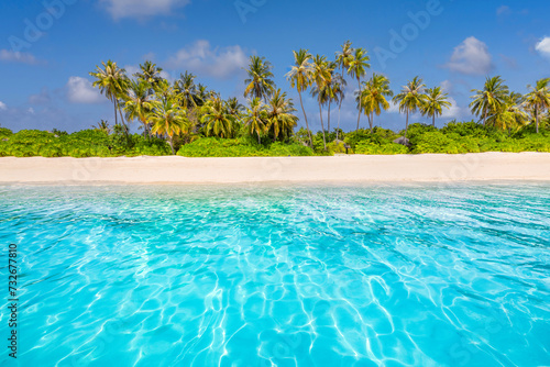 Best travel landscape. Paradise beach amazing tropical island. Beautiful palm trees closeup idyllic sea waves sunshine blue sky clouds. Luxury tourism summer vacation design zen inspire wallpaper