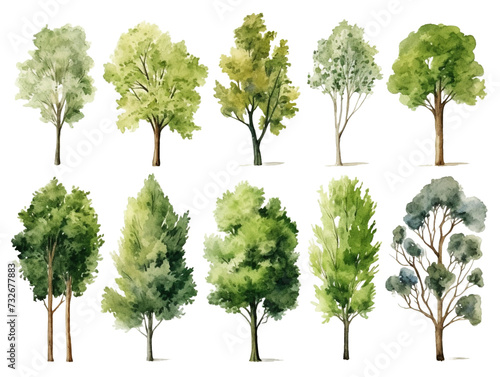 Set of Watercolor trees collection on transparent background 