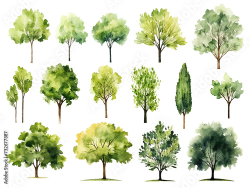 Set of Watercolor trees collection on transparent background	