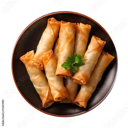Delicious Egg Rolls Isolate...