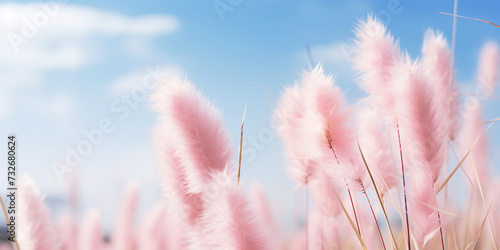 Beautiful soft wild grass in nature in spring summer. Shallow depth of field.