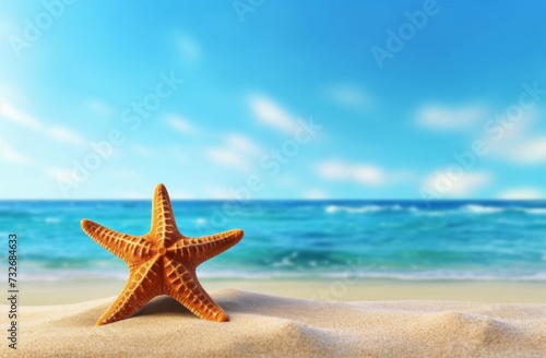 A starfish on sand on the beach