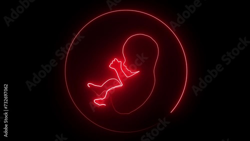 Human embryonic and fontal development. glowing neon human fetus inside the womb. human anatomy baby. photo