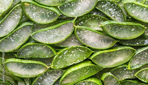 aloe vera slice texture background medicinal plant used to treat and to make a cream flat lay top view