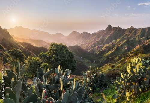 Blick in das Anaga Gebirge, Rural Park, Teneriffa, Kanarische Inseln, Spanien photo