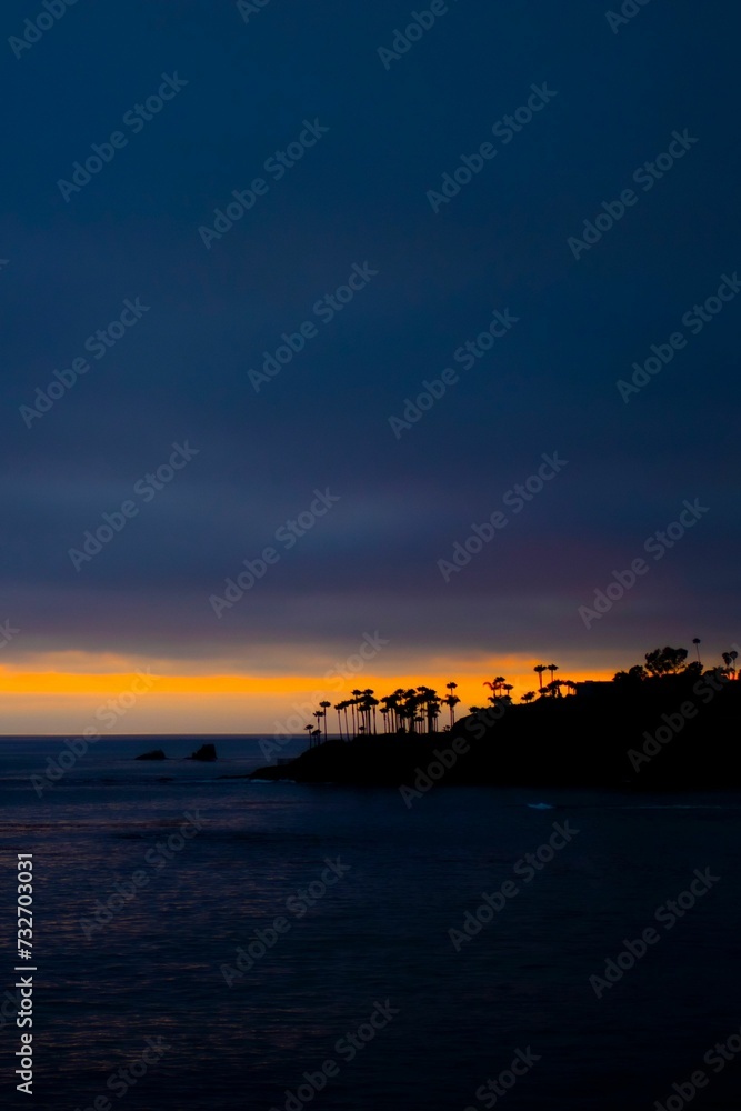 Silhouetted group of palm trees against a vibrant sunset sky of orange on the beach