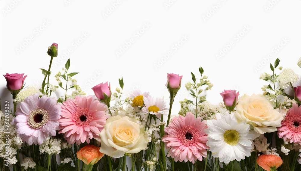 Beautiful flowers and leaves on white background copy space. Floral border, Nature and summer plants Beautiful flowers and leaves on white background copy space. Floral border, Nature and summer plants