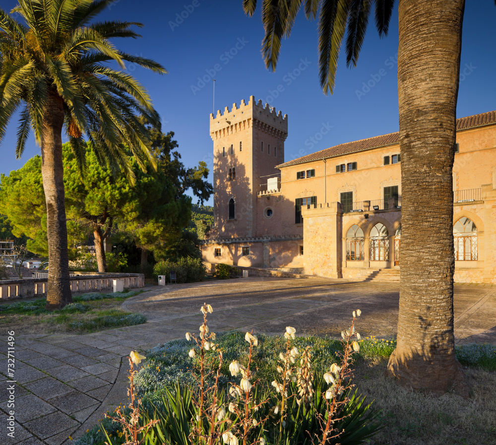 Spanien, Mallorca, Andratx, Castell de Son Mas, Palme