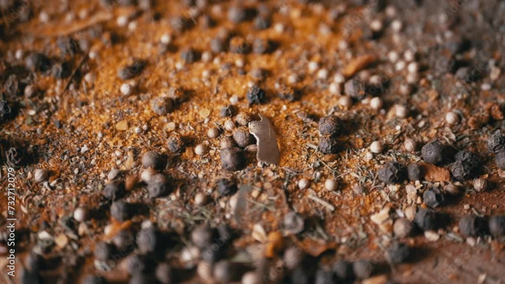 Dried Spices Falls on a Rotating Wooden Background of Colorful Spices. Close up. Slow motion. Scattered Indian spice mix, black peppercorns, turmeric, paprika, coriander, oregano. Background, texture. Dried Spices Falls on a Rotating Wooden Background of Colorful Spices. Close up. Slow motion. Scattered Indian spice mix, black peppercorns, turmeric, paprika, coriander, oregano. Background, texture.