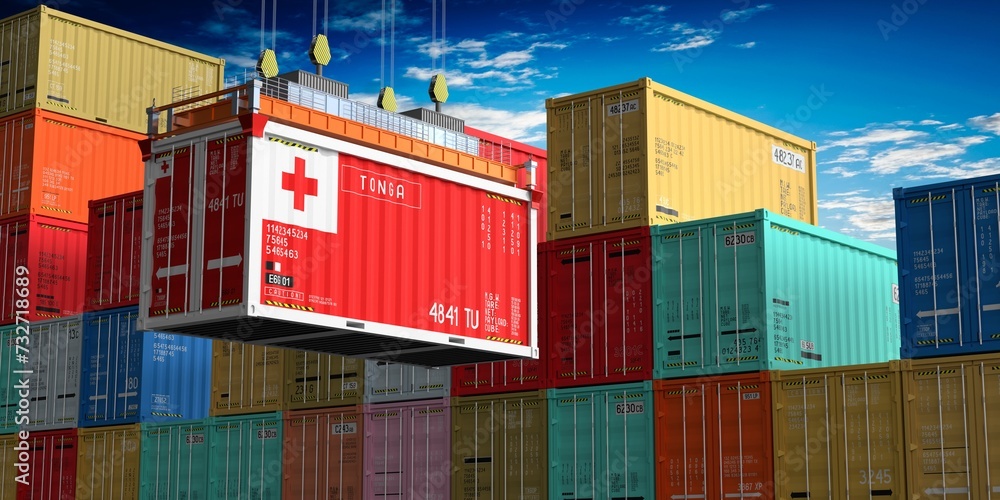 Fototapeta premium Freight shipping container with flag of Tonga on crane hook - 3D illustration