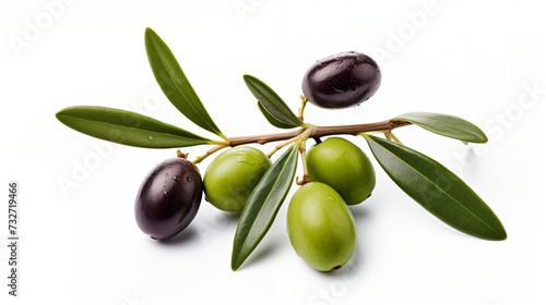 Olive branch with ripe and delicious olives