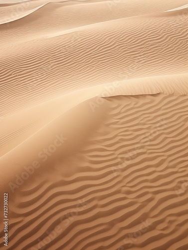 Desert Dunes Print: Aerial View - Rustic Wall Decor