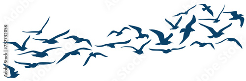 Ensemble de silhouettes de mouettes qui s'envolent - Oiseaux - Envol - Mouvement d'ailes - Bannière - Mouette - Bleu - Marine - Animal marin photo