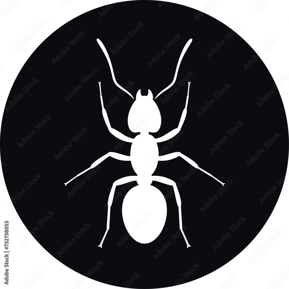 Ant silhouette. Isolated ants on white background Ant silhouette. Isolated ants on white background