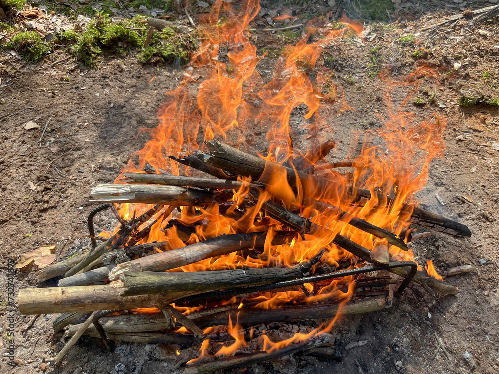 a barbecue campfire is built in the forest a barbecue campfire is built in the forest