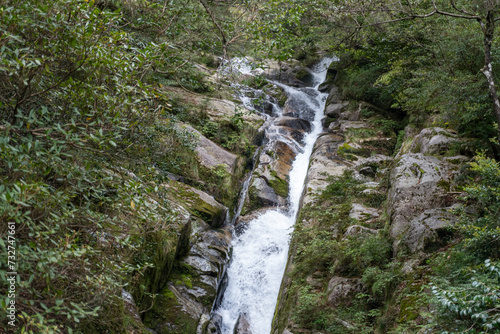 Mt. Tachu in Yakushima island photo