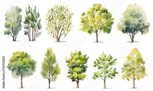 Tree set with green leaves isolated on white  tree collection  watercolor illustration generative ai