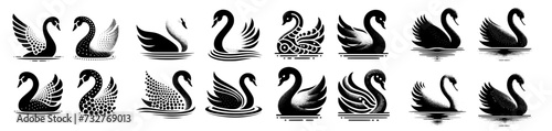 Multiple vector images of a swan  photo