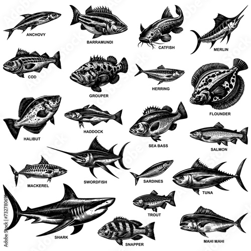 Ocean Fish Linocut Set