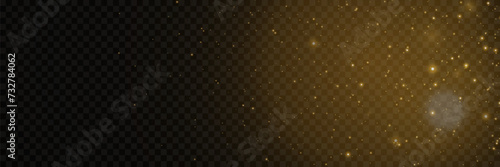 The shine of sparkling dust particles. A glare of light and stars.