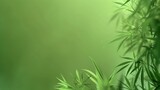 green background. Cannabis marijuana in medical. Concepts of using marihuna for medicinal purposes for, Medical use of non-psychoactive cannabidiol CBD medical.