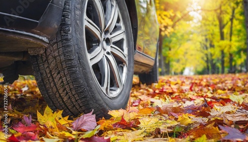 new black car wheel on autumn leaves