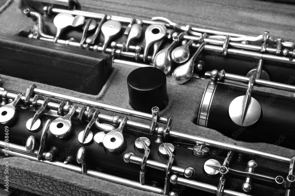 Obraz premium Oboe woodwind instrument. Orchestral music instruments.