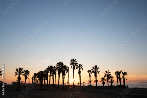 Sunset behind palm trees by the sea. At the bottom you can see the palm trees on the beach, behind which the sun is setting. The sky is dark blue.