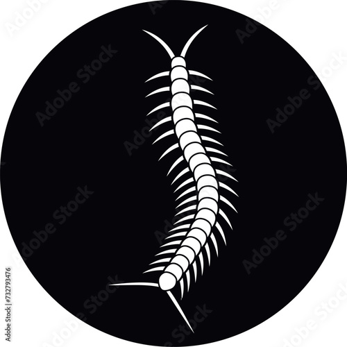 Scolopendra logo. Isolated scolopendra on white background photo