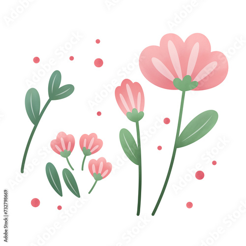 illustration of flowers set