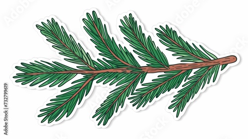 seamless background with coniferous branches pattern  coniferous  fir  