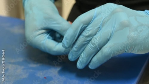 mani di uno chef con guanti puliscono un gambero per riporlo su di un letto di insalata fresca photo