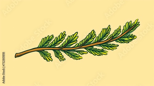 seamless background with coniferous branches pattern, coniferous, fir, 