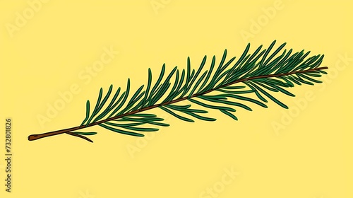 seamless background with coniferous branches pattern, coniferous, fir, 