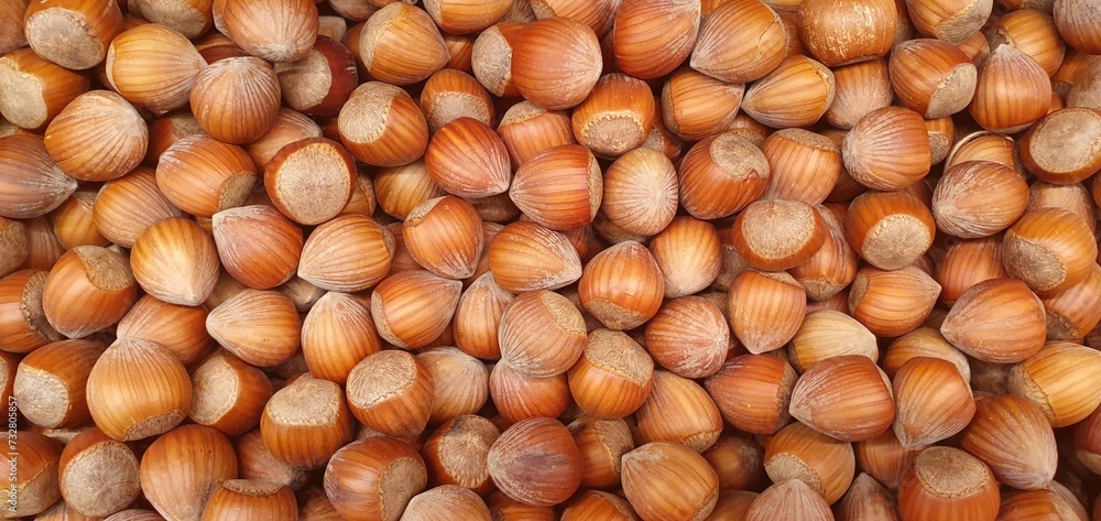 Organic hazelnuts background, pattern. Hazelnut in shell isolated. Nuts packaging design, close-up hazelnut background. Organic hazelnuts background, pattern. Hazelnut in shell isolated. Nuts packaging design, close-up hazelnut background.