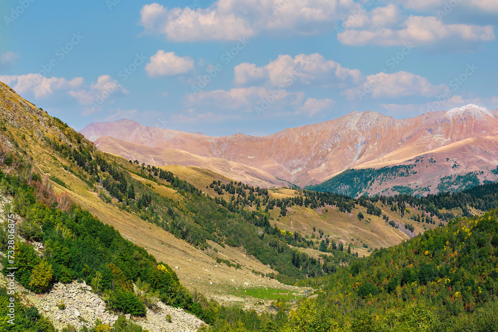 Fototapeta premium mountains, sky and green forest. Place for trekking tourism